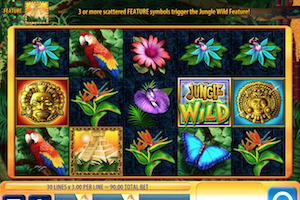Jungle Wild
